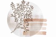 黑料社官网被扒出黑料网24小时热搜升级版